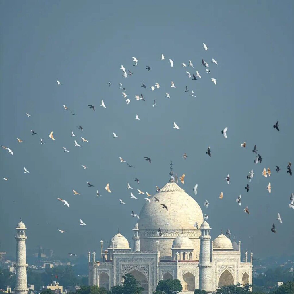 Inside the Taj Mahal's Enchanting
